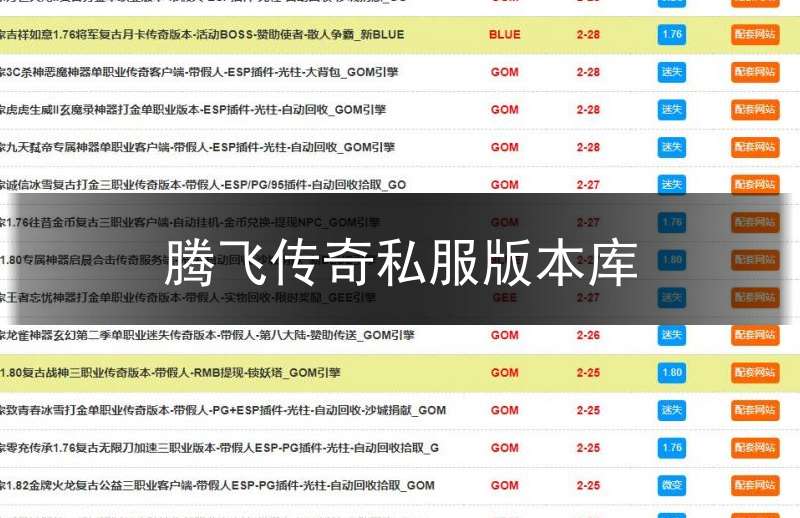 腾飞传奇私服版本库_腾讯传奇怀旧