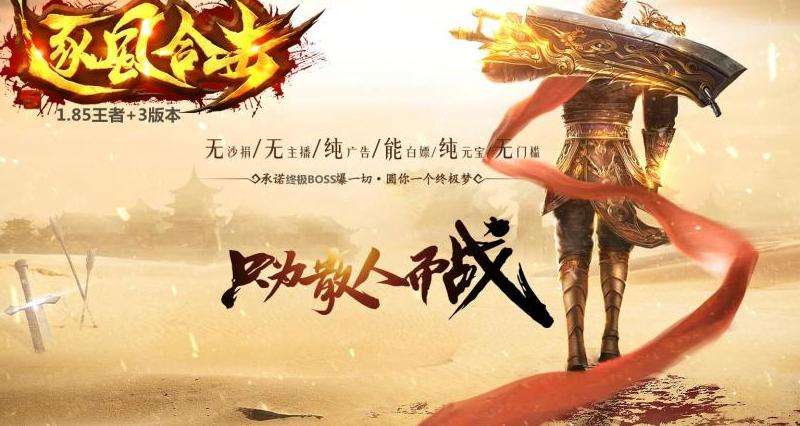抖音传奇私服版本攻略：角色、任务、组队、装备提升【精简标题】